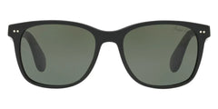RALPH LAUREN - RL8162P